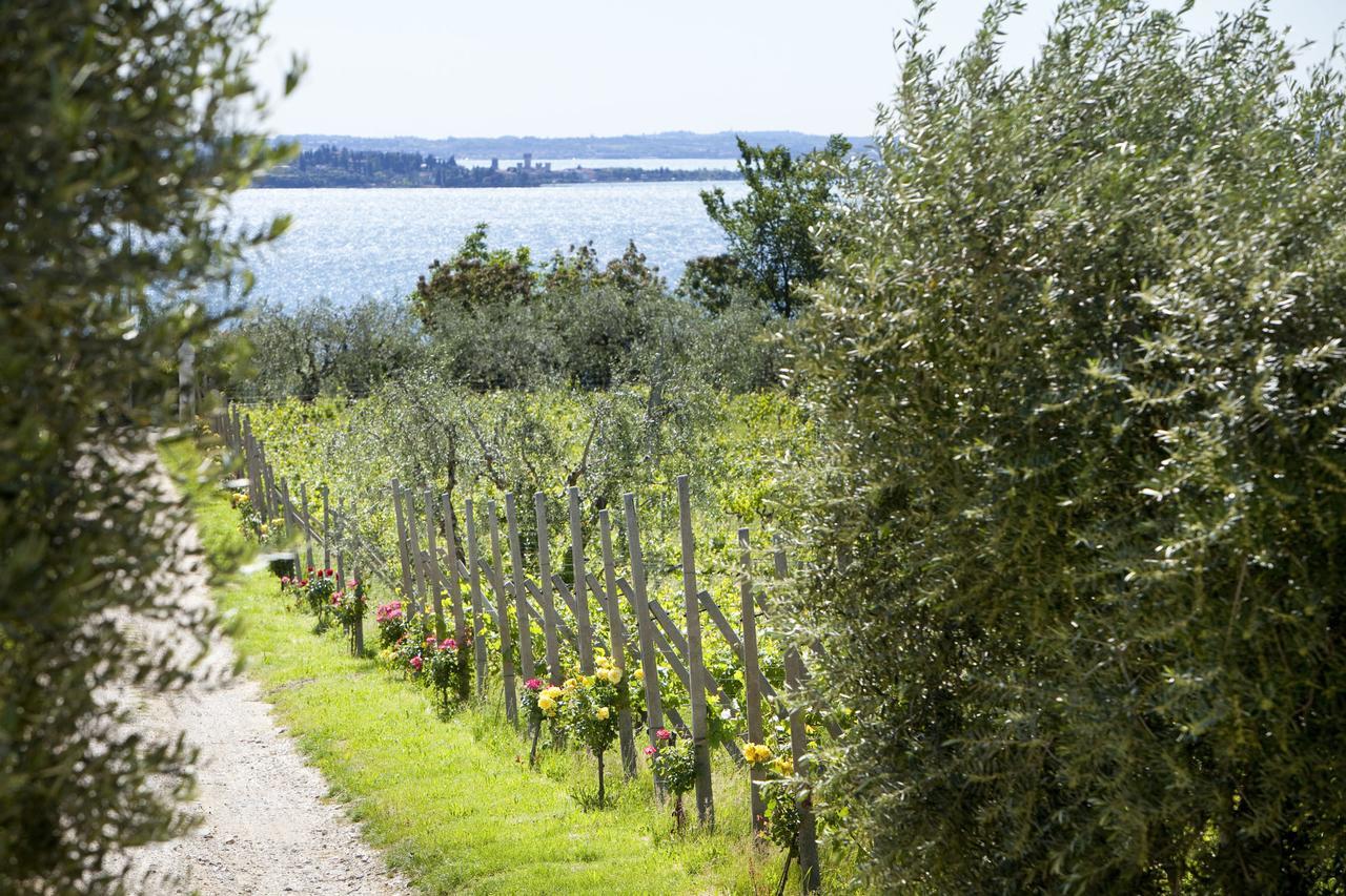 Agrigturismo Monte Cicogna Villa Moniga del Garda Ngoại thất bức ảnh