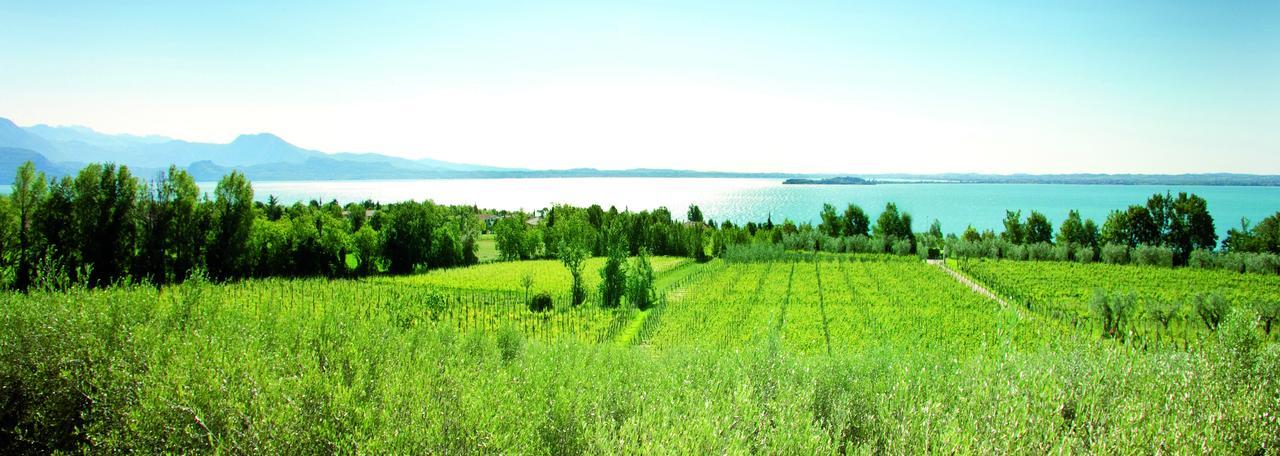 Agrigturismo Monte Cicogna Villa Moniga del Garda Ngoại thất bức ảnh